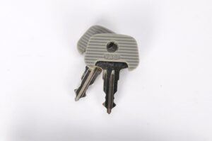 Schlüssel 738 Grau (Satz aus 2)